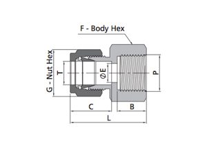 Female Connector Fitting | Fractional Tube X Metric Thread