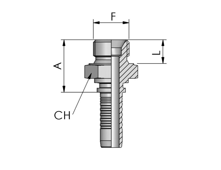 BSPP Male, 60° Cone